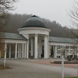  Apartmán Karlovarská Česká republika